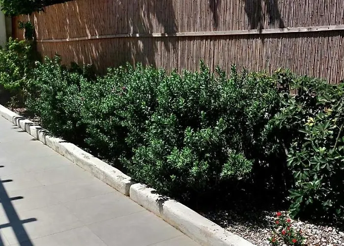 Empyreal Blue Daire *